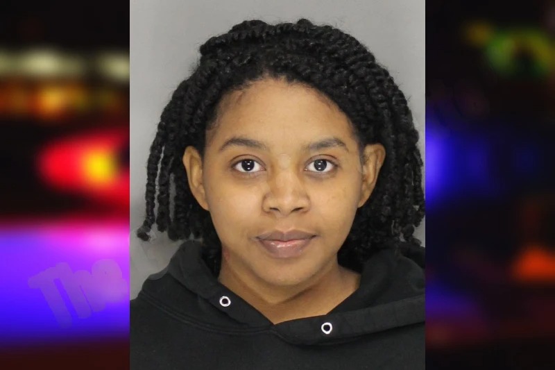 Mia Martin mugshot – Cobb County , Georgia Mia Martin mugshot