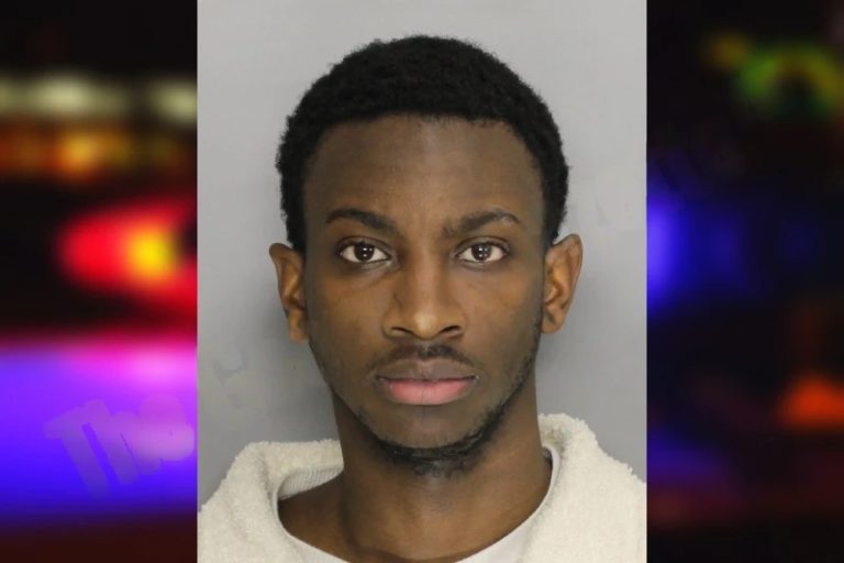 Michael Langford mugshot – Cobb County , Georgia Michael Langford