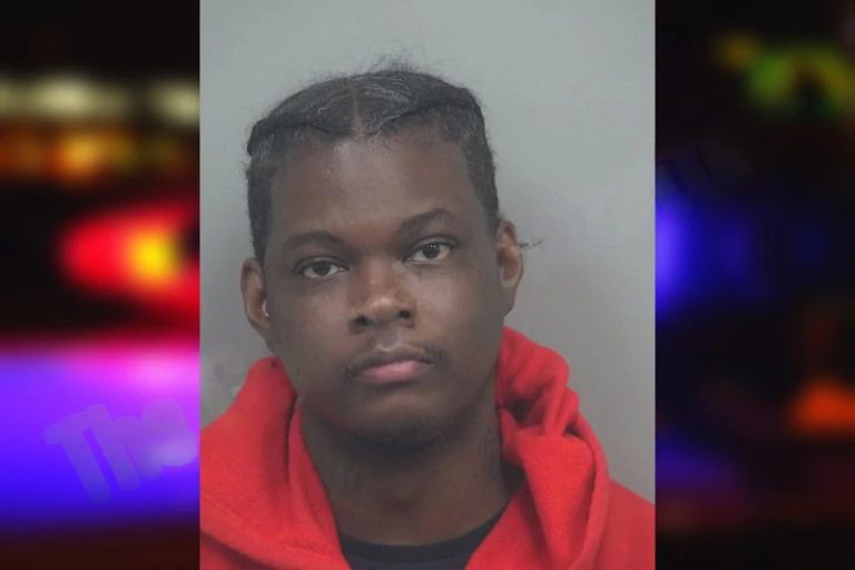 Michael McGee mugshot – Gwinnett County , Georgia Michael McGee