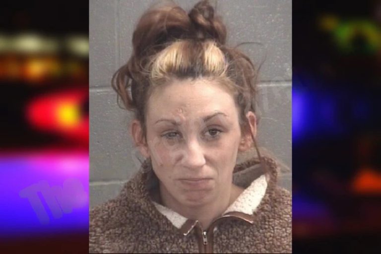 Michelle Cook mugshot – Spalding County , Georgia Michelle Cook