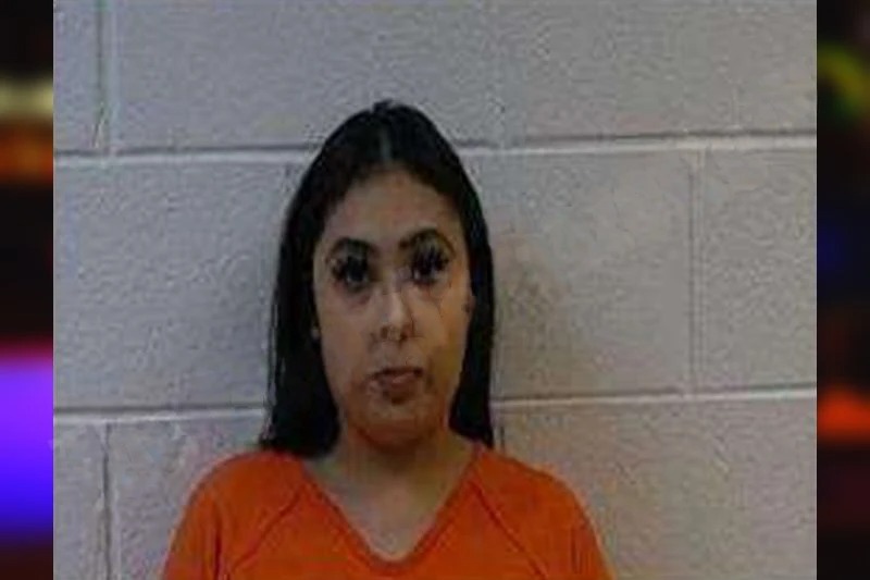 Michelle Hernandez Mugshots