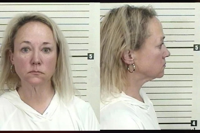 Michelle Stebbin mugshot – Camden County , Georgia Michelle Stebbin mugshot