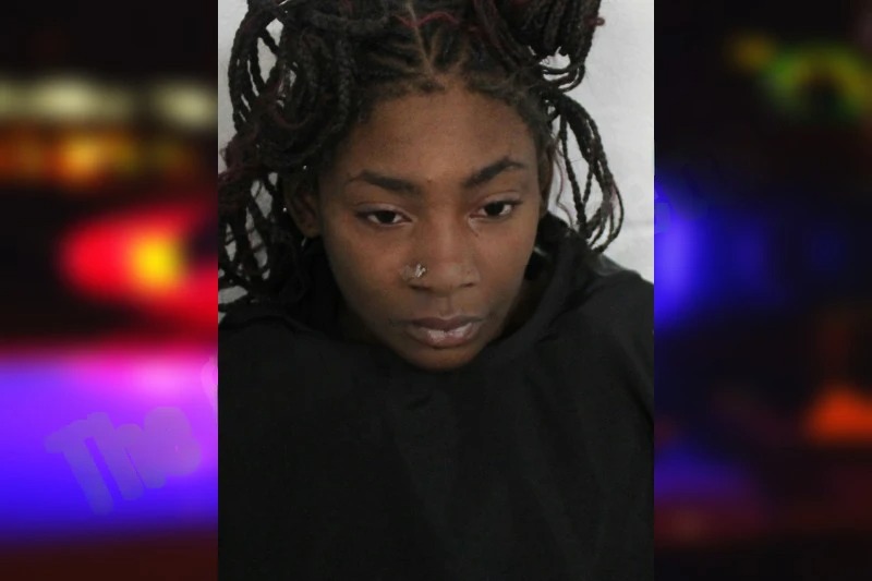 Michelle Williams Mugshots