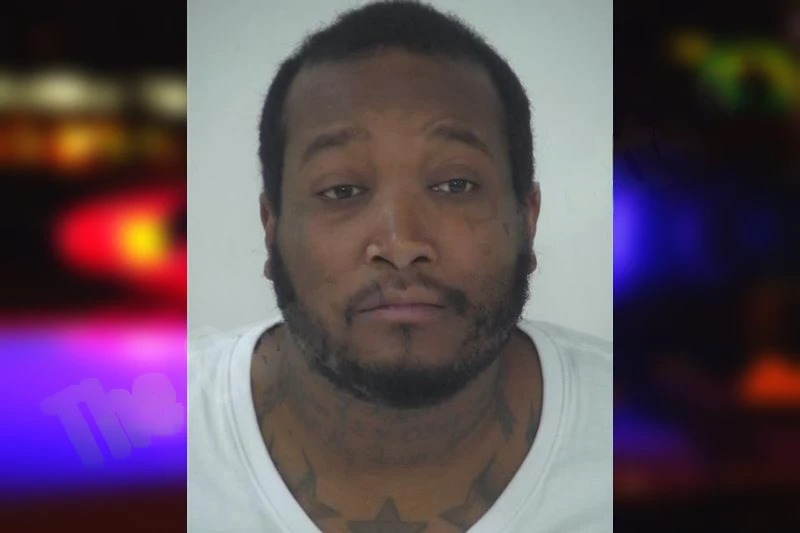 Mickel Johnson mugshot – Fayette County , Georgia Mickel Johnson mugshot