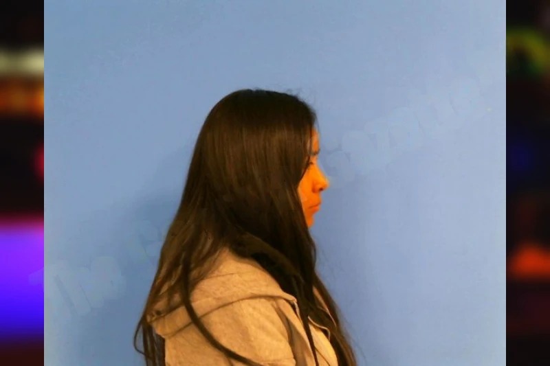 Migdalia Sanchez-Cobon Mugshots