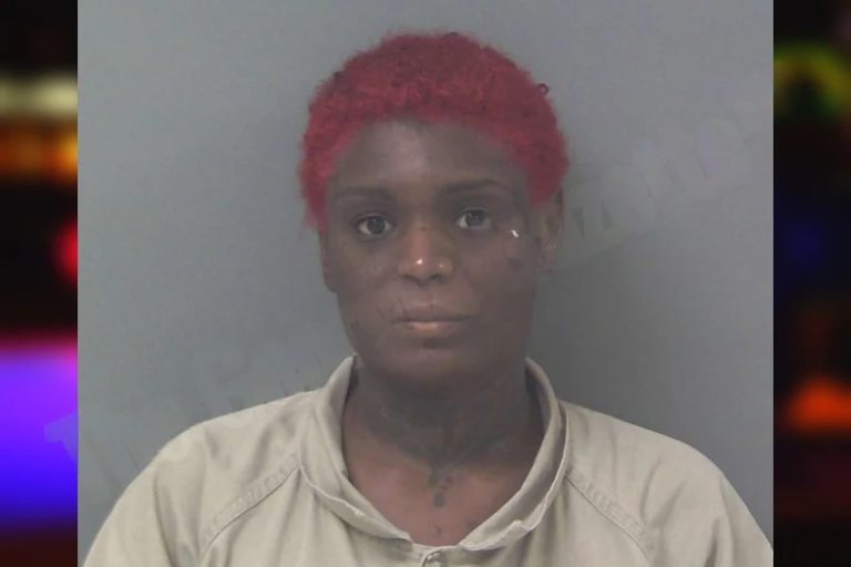 Mikayle Ellison mugshot – Douglas County , Georgia Mikayle Ellison