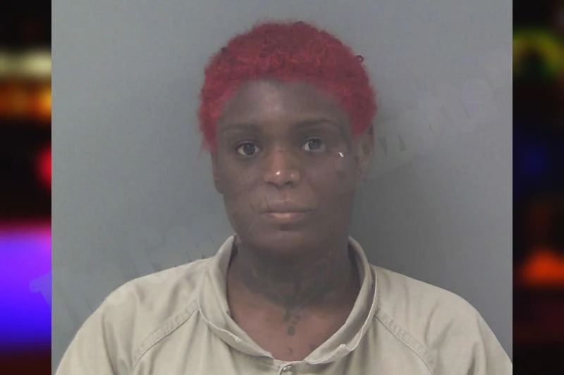 Mikayle Ellison mugshot