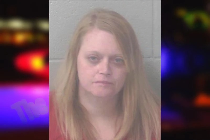 Mindy James mugshot – Newton County , Georgia Mindy James mugshot