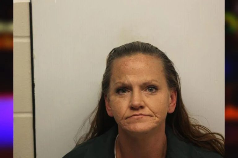 Mindy Noble mugshot – Chatham County , Georgia Mindy Noble