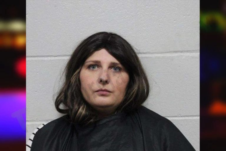 Miranda Barnett mugshot – Habersham County , Georgia Miranda Barnett