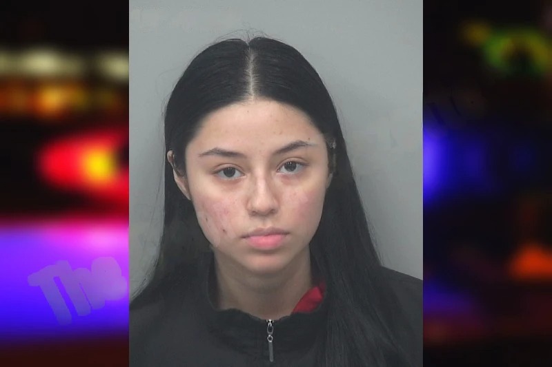 Mireya Cisnero-Benitez Mugshots