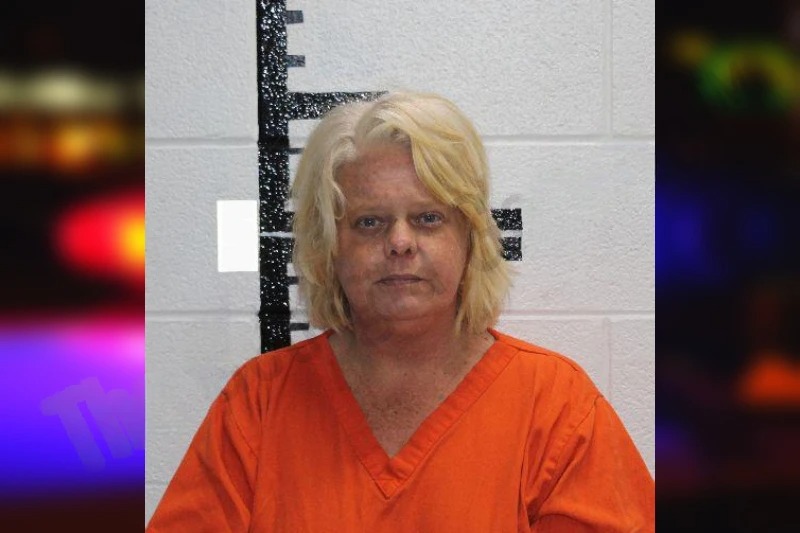 Mistie Watkins Mugshots