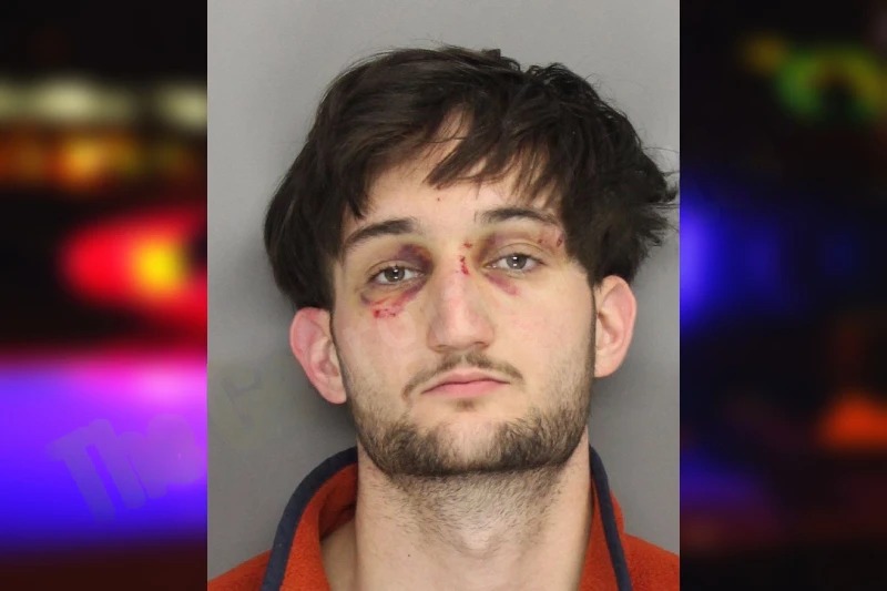 Mitchell Rotoloni Mugshots