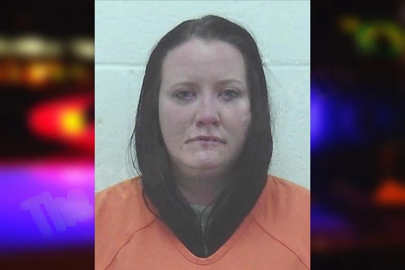 Molly Bridges mugshot