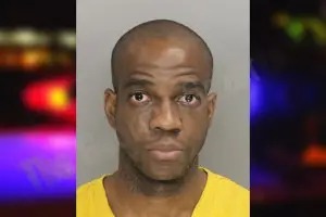 Mololuwa Odesanya Mugshots