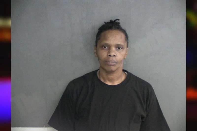 Monica Brown Mugshots