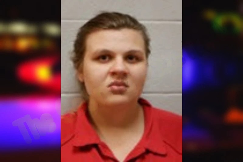 Monica Evans mugshot – Henry County , Georgia Monica Evans mugshot