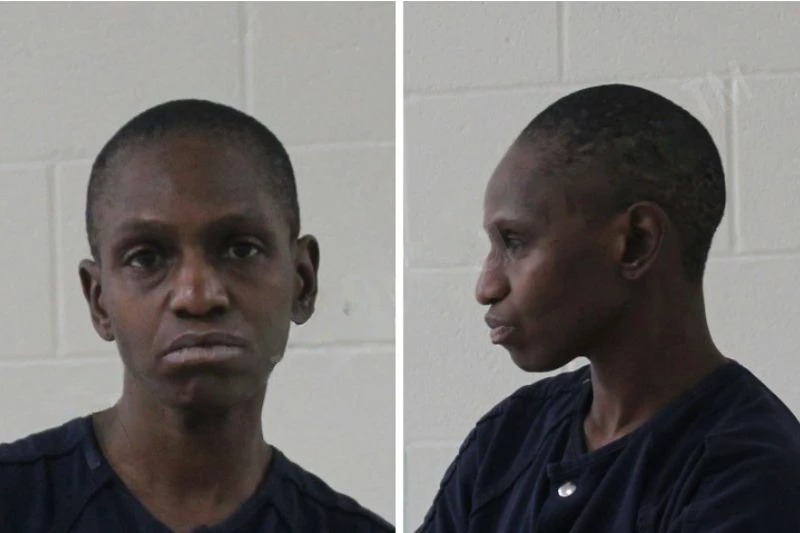 Monica Johnson Mugshots