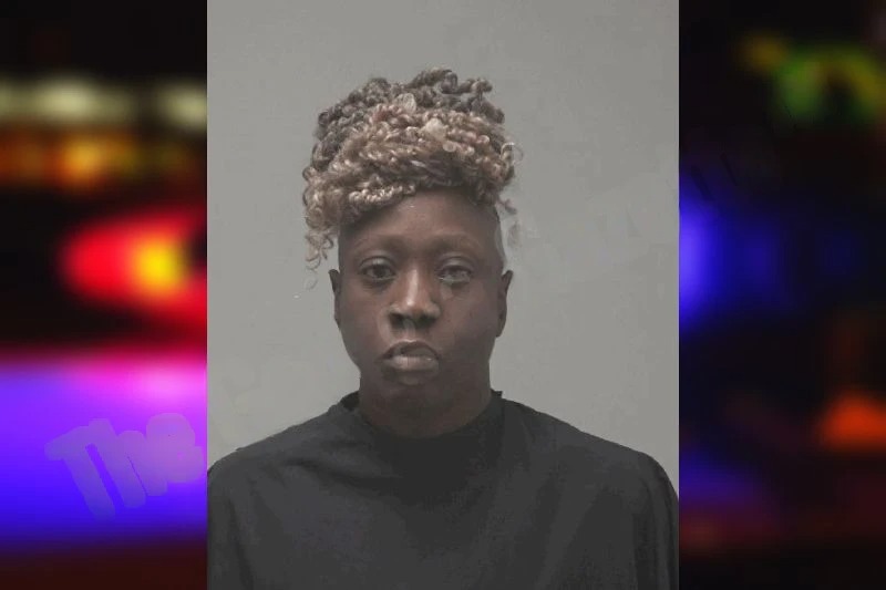 Monica Palmore mugshot