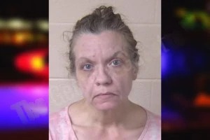 Monica Phillips mugshot – Walker County , Georgia Monica Phillips mugshot