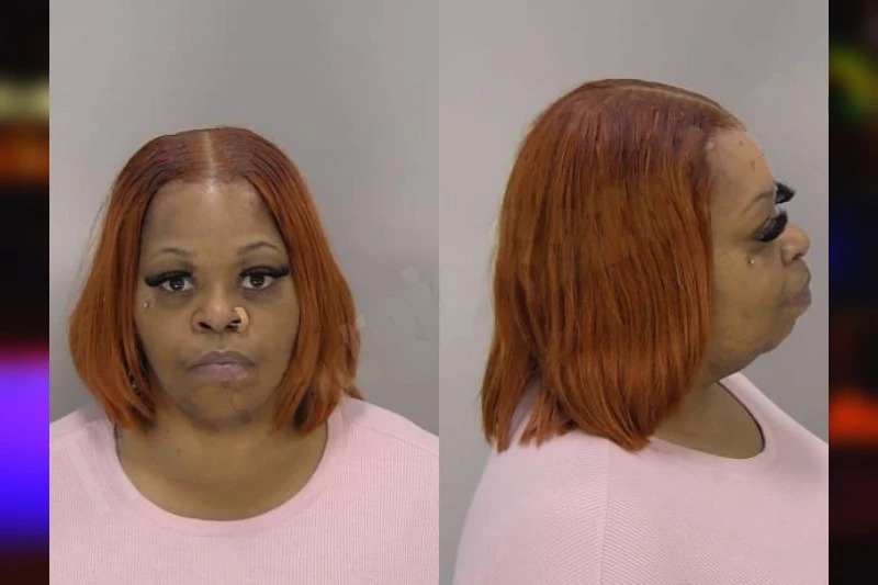 Monica Price mugshot