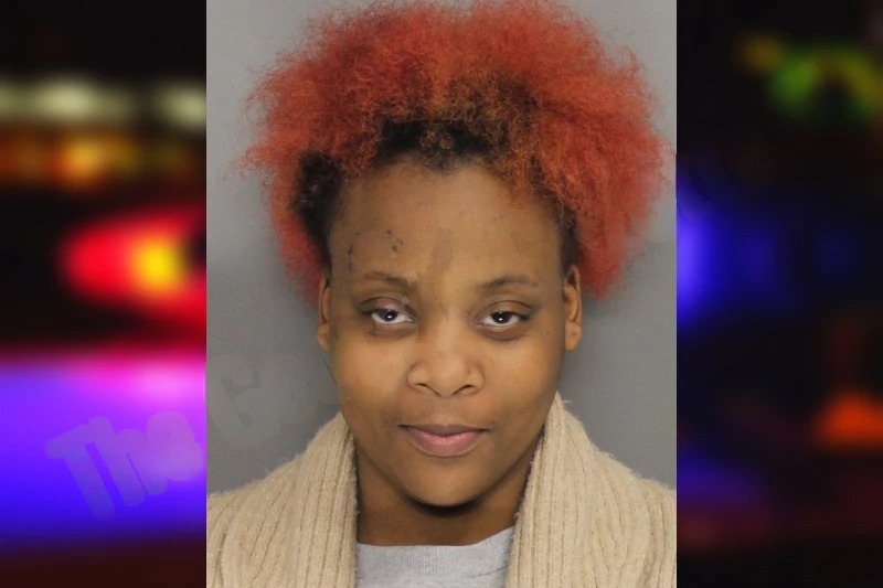 Monique Miller Mugshots