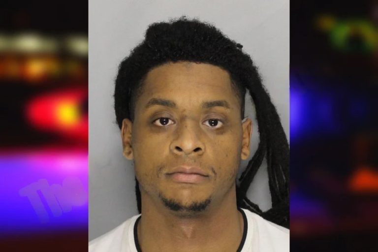 Myles Maness mugshot – Cobb County , Georgia Myles Maness