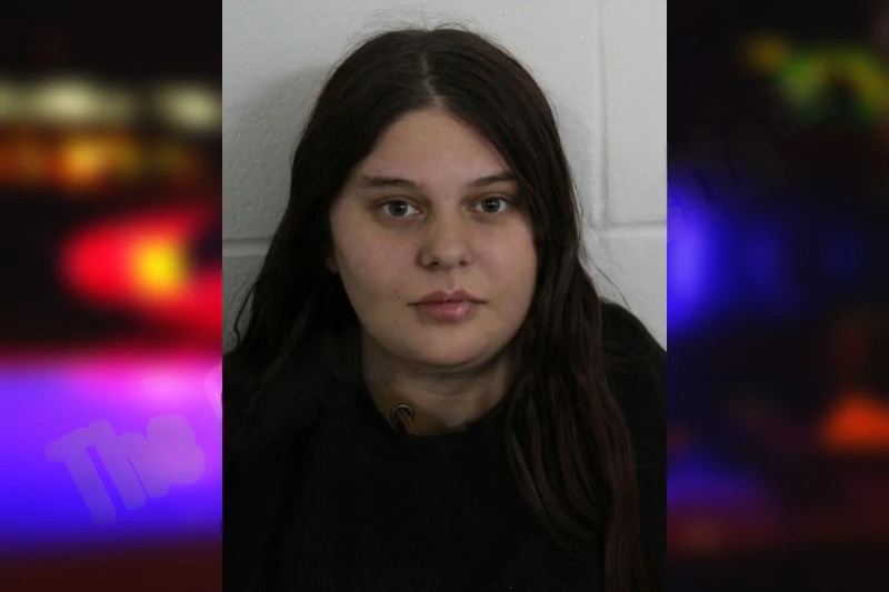 Nadia Fowler mugshot