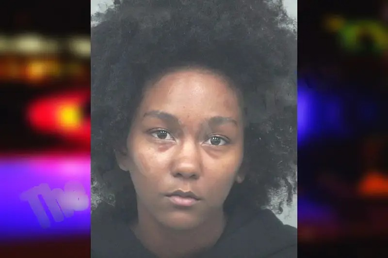 Nailah Williams mugshot – Gwinnett County , Georgia Nailah Williams mugshot