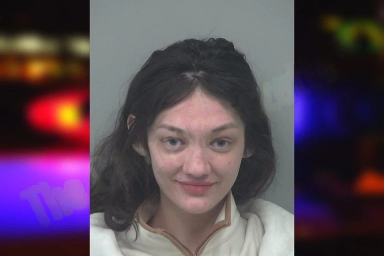 Natalie Friedrichs mugshot – Gwinnett County , Georgia Natalie Friedrichs