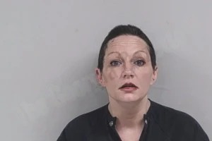 Natalie Hemminger Mugshots