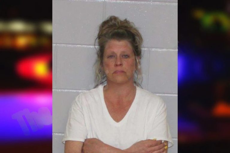 Natasha McWaters mugshot – Morgan County , Georgia Natasha McWaters