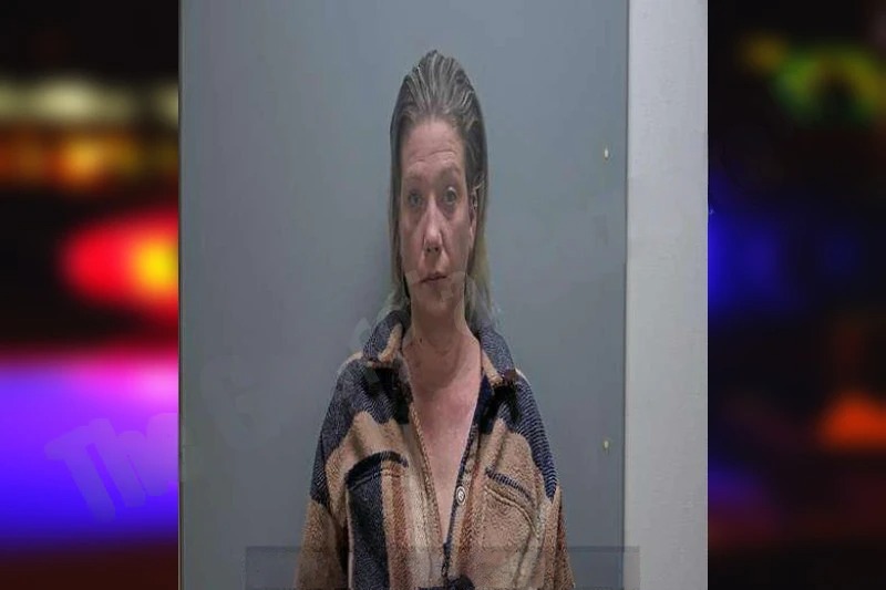 Natasha Morrisette mugshot