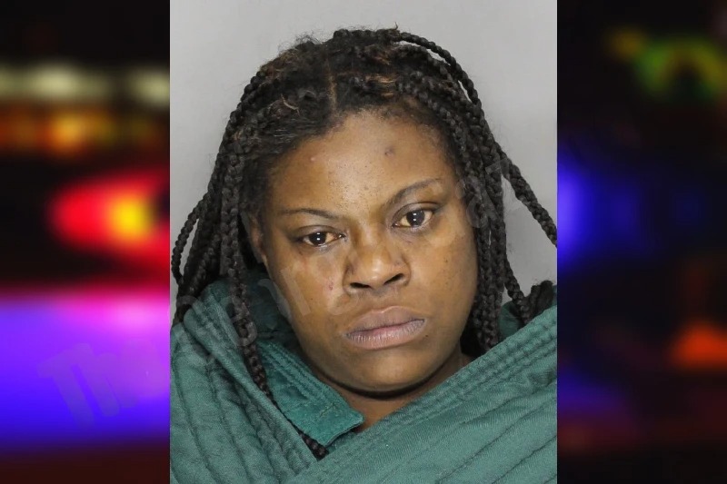 Natasha Paul Mugshots