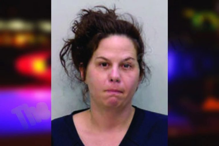 Natasha Pinion mugshot – Bartow County , Georgia Natasha Pinion