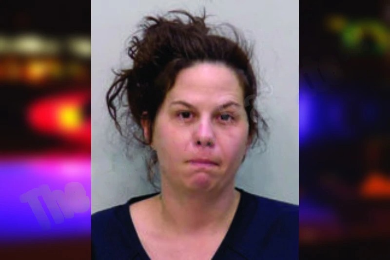 Natasha Pinion mugshot – Bartow County , Georgia Natasha Pinion mugshot