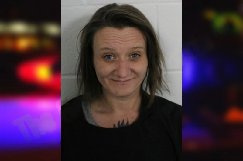 Natasha Slaton Mugshots