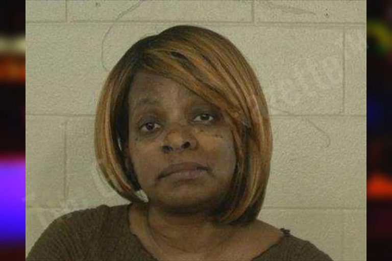 Natasha Wilson mugshot – Liberty County , Georgia Natasha Wilson