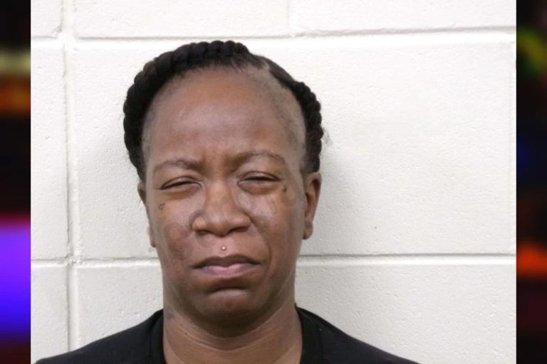 Natasha Young mugshot – Bulloch County , Georgia Natasha Young