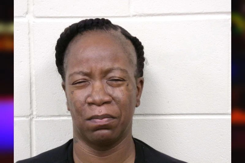 Natasha Young Mugshots