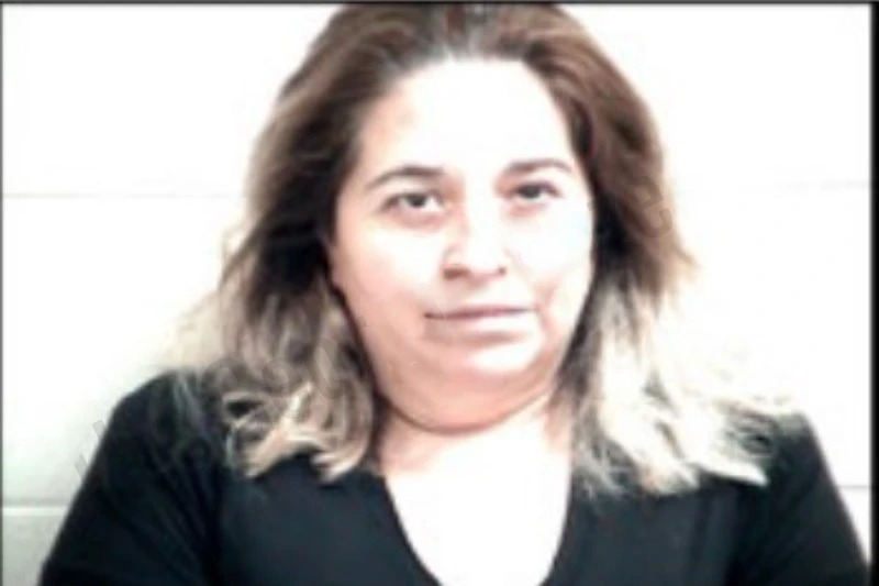 Nayeli Gonzalez Morales mugshot