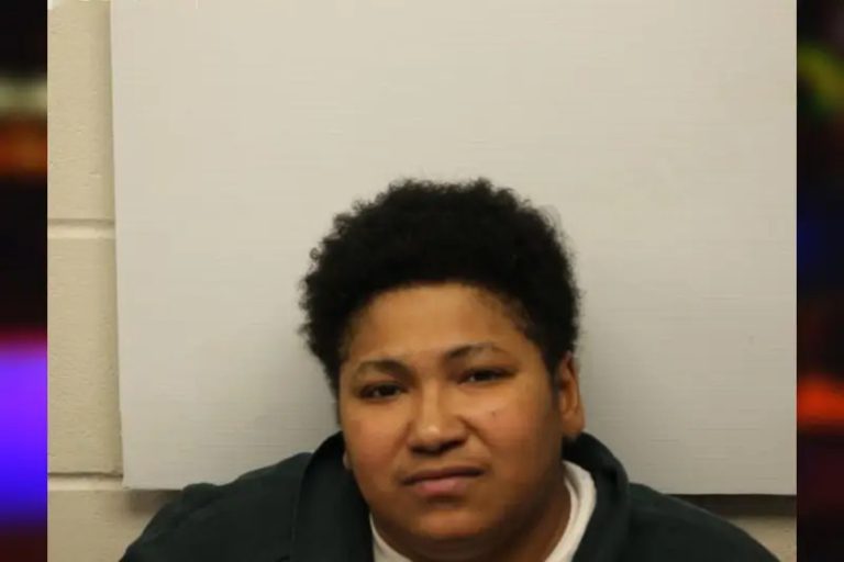 Nedina Johnson mugshot – Chatham County , Georgia Nedina Johnson