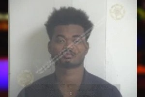Nehemiah Johnson Mugshots