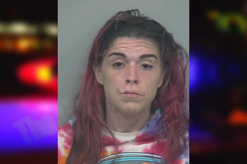 Netzabeli Bonnet Mugshots