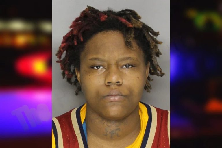 Nia Sallis mugshot – Cobb County , Georgia Nia Sallis