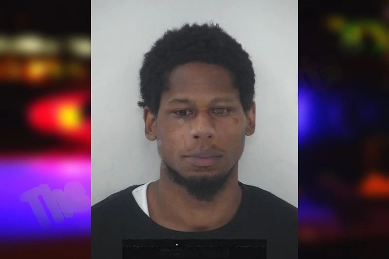 Nicholas McKenzie mugshot – Fayette County , Georgia Nicholas McKenzie mugshot