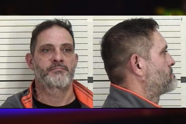 Nicholas Mendat mugshot – Camden County , Georgia Nicholas Mendat