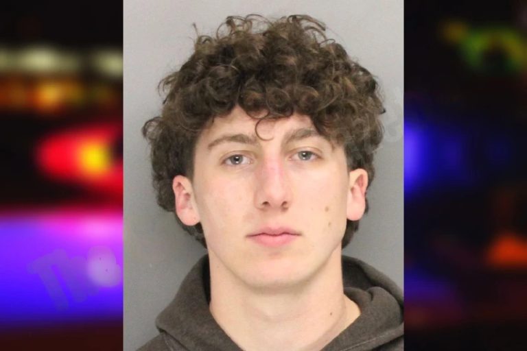 Nicholas Pistone mugshot – Cobb County , Georgia Nicholas Pistone