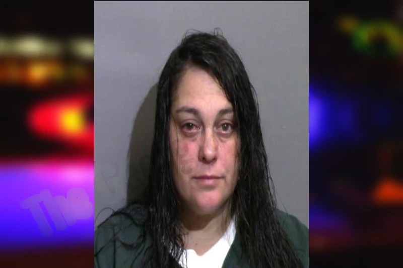 Nicole Jones Mugshots