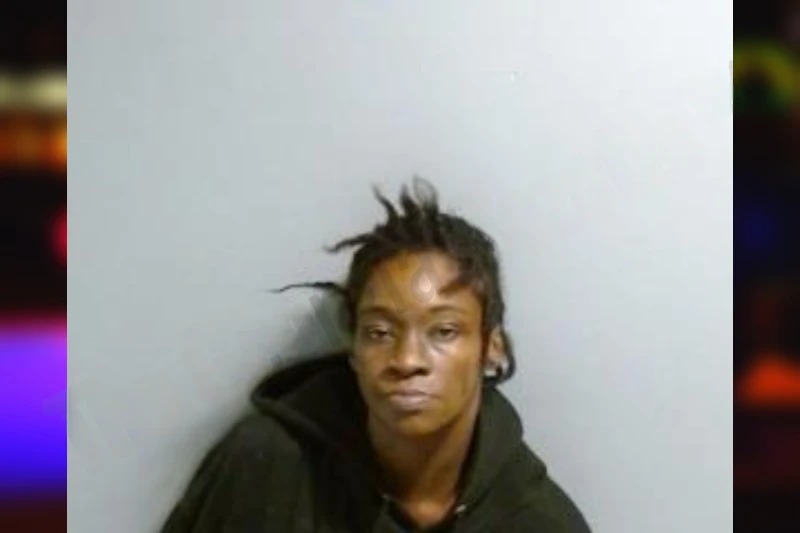 Nicole Purvis mugshot